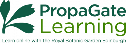 Logo of Propagate Learning