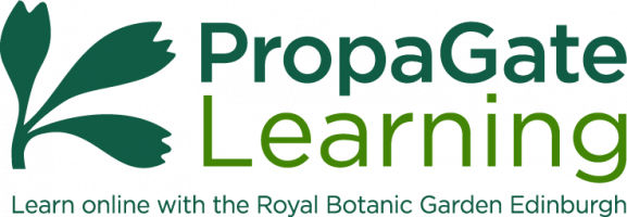 Propagate Learning