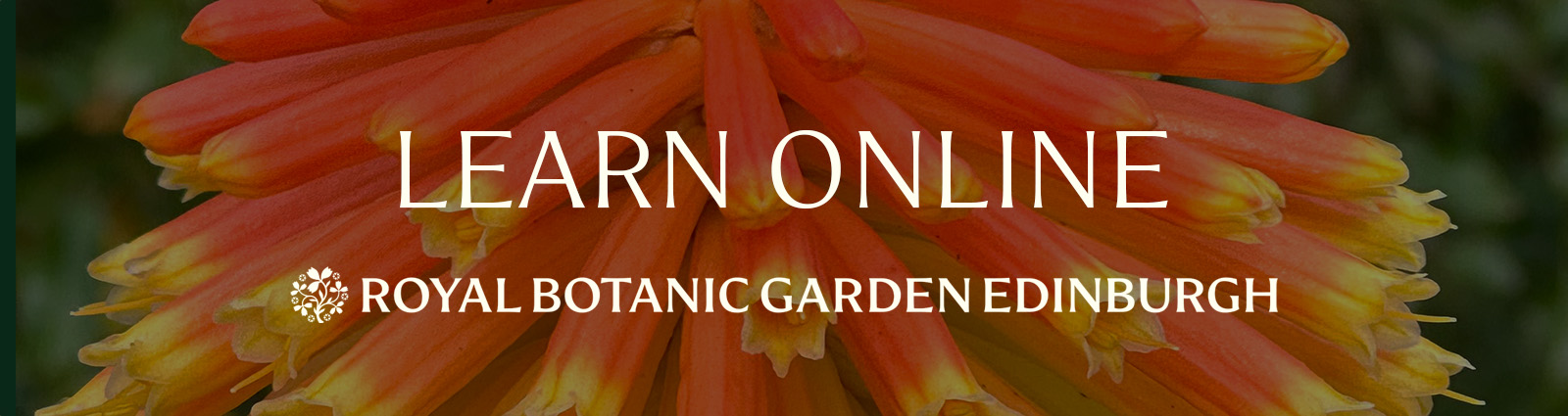 Learn Online with the Royal Botanic Garden Edinburgh