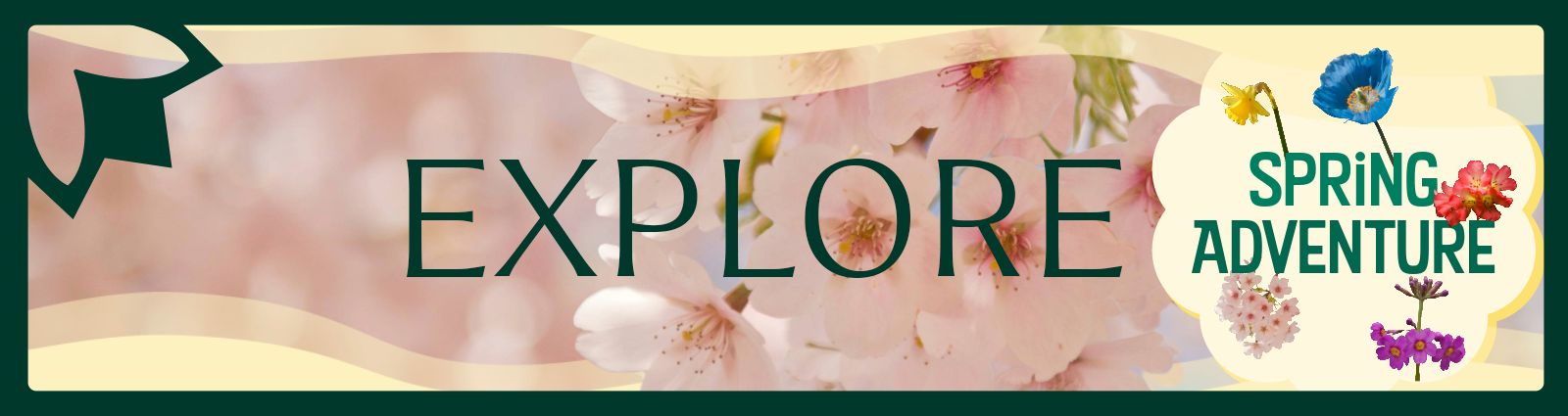 Explore the Spring Adventure