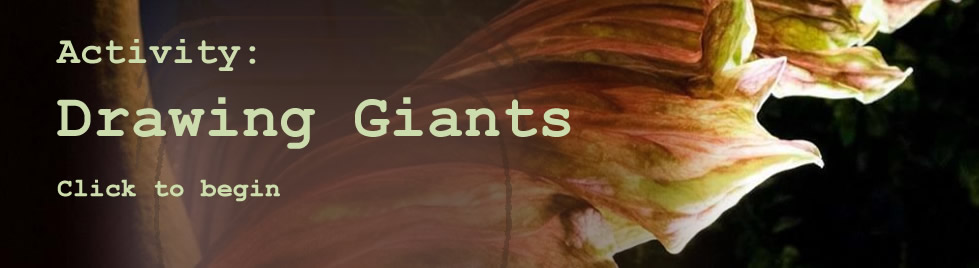 Activity: Drawing Giants. Click to begin