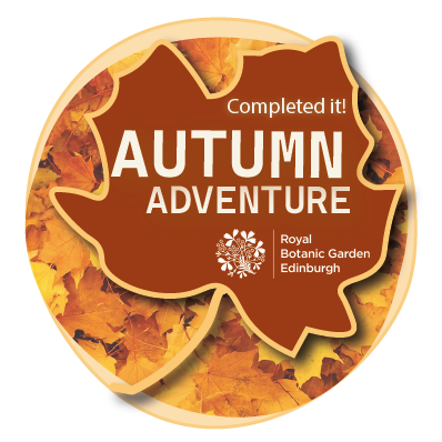 Autumn Adventure completion badge
