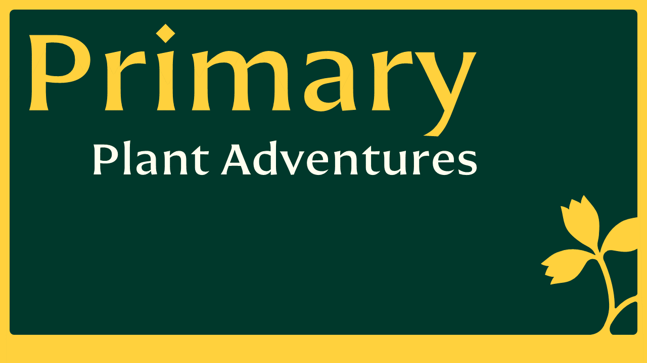 Primary: Plant Adventures