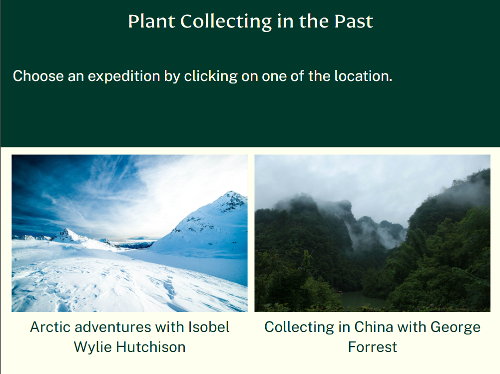 Choose an expedition.